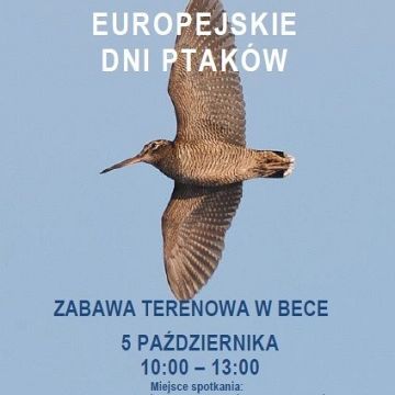 Grafika Zaproszenie na Europejskie Dni Ptaków