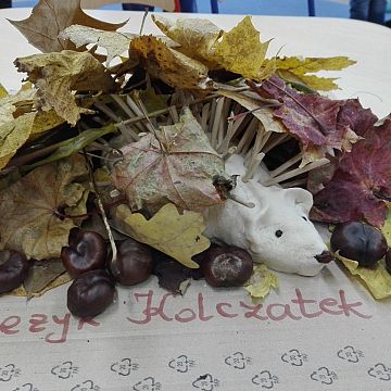 Dzień Jeża Grafika Dzień Jeża