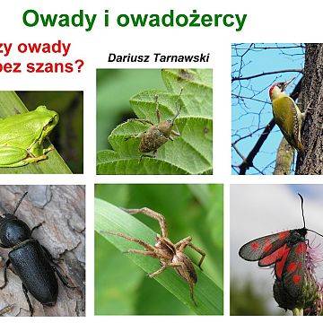 "Owady i owadożercy. Czy owady są bez szans?" - spotkanie przyrodnicze Grafika "Owady i owadożercy. Czy owady są bez szans?" - spotkanie przyrodnicze