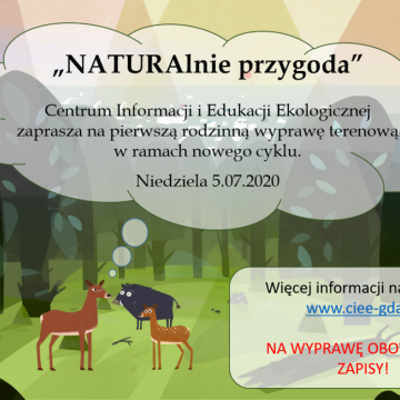 NATURALnie przygoda - rodzinne wyprawy terenowe. Grafika NATURALnie przygoda - rodzinne wyprawy terenowe.