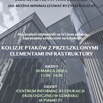 Grafika Kolizje ptaków z przeszklonymi elementami architektury - szkolenie