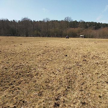 Czynna ochrona siedliska przyrodniczego - zmiennowilgotna łąka na wyspie Sidły we Wdzydzkim Parku Krajobrazowym Grafika Czynna ochrona siedliska przyrodniczego - zmiennowilgotna łąka na wyspie Sidły we Wdzydzkim Parku Krajobrazowym