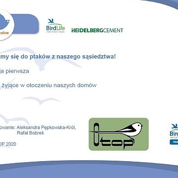 Jak poznawać ptaki w okresie epidemii Grafika Jak poznawać ptaki w okresie epidemii