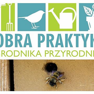 Grafika Jak stworzyć dom dla porobnic?