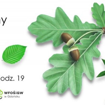 Grafika Wspólne rysowanie online!