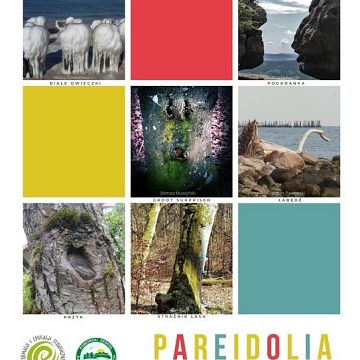 II edycja konkursu "Pareidolia w naturze" Grafika II edycja konkursu "Pareidolia w naturze"