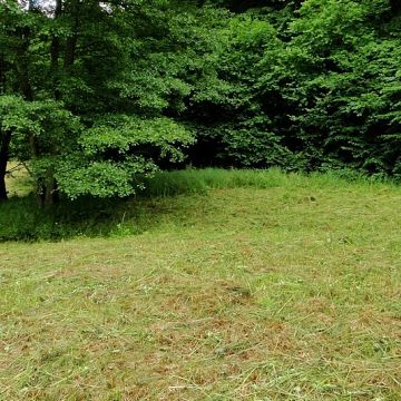 Ochrona czynna siedlisk łąkowych w Trójmiejskim Parku Krajobrazowym Grafika Ochrona czynna siedlisk łąkowych w Trójmiejskim Parku Krajobrazowym