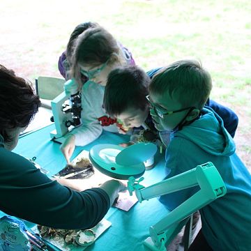 Piknik edukacyjny "Czas na grzyby!" Grafika Piknik edukacyjny "Czas na grzyby!"