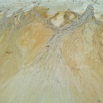 Wyniki II edycji konkursu "Pareidolia w naturze" Grafika Wyniki II edycji konkursu "Pareidolia w naturze"