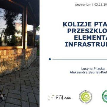 Grafika Po webinarze Kolizje ptaków z przeszklonymi elementami infrastruktury