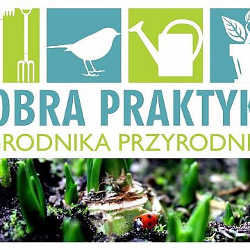 Pomyśl o wiośnie! Grafika Pomyśl o wiośnie!
