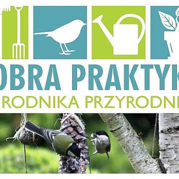 Dobra praktyka ogrodnika-przyrodnika. Ptasie przysmaki. Grafika Dobra praktyka ogrodnika-przyrodnika. Ptasie przysmaki.