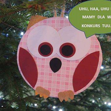 Ekologiczne Ozdoby Bożonarodzeniowe Grafika Ekologiczne Ozdoby Bożonarodzeniowe