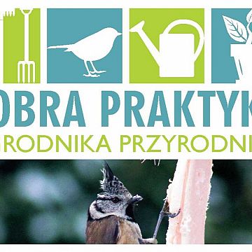 Grafika Dobra praktyka ogrodnika-przyrodnika. Dokarmiamy ptaki.