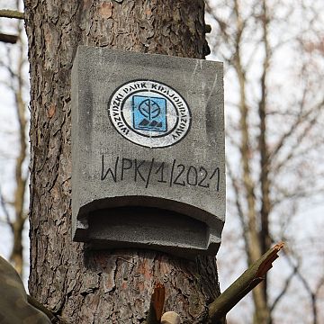 Grafika Nowe mieszkania dla nietoperzy i ptaków