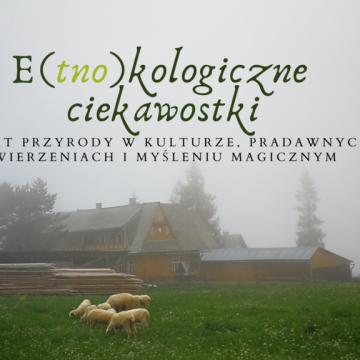 E(tno)kologiczne ciekawostki – I odsłona nowego projektu Grafika E(tno)kologiczne ciekawostki – I odsłona nowego projektu