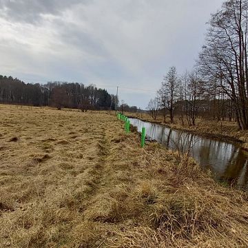 Grafika Czynna ochrona siedlisk troci jeziorowej – endemicznego gatunku na obszarze Wdzydzkiego Parku Krajobrazowego