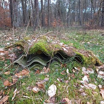 „Przywróć naszą Ziemię”… 22 kwietnia, świętuj Światowy Dzień Ziemi Grafika „Przywróć naszą Ziemię”… 22 kwietnia, świętuj Światowy Dzień Ziemi