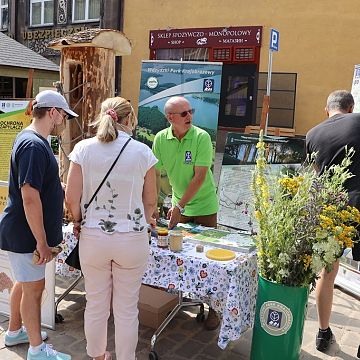 Grafika Jarmark św. Dominika z przyrodą Wdzydzkiego Parku Krajobrazowego
