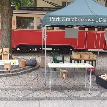 Grafika Wielki Dzień Pszczół