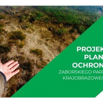 Projekt Planu ochrony dla Zaborskiego Parku Krajobrazowego - konsultacje społeczne Grafika Projekt Planu ochrony dla Zaborskiego Parku Krajobrazowego - konsultacje społeczne