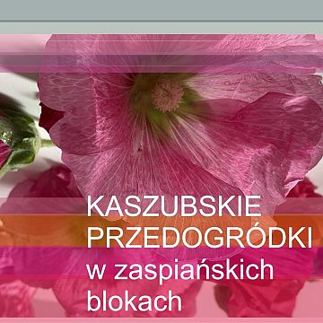 Spacer - „Kaszubskie przedogródki w zaspiańskich blokach” Grafika Spacer - „Kaszubskie przedogródki w zaspiańskich blokach”