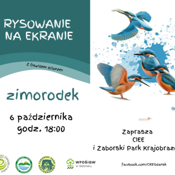 Rysowanie na ekranie Grafika Rysowanie na ekranie