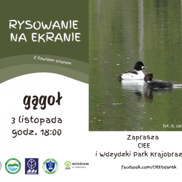 Grafika Rysowanie na ekranie – gągoł