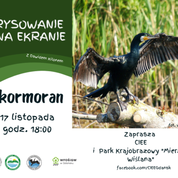 Grafika Rysowanie na ekranie - kormoran