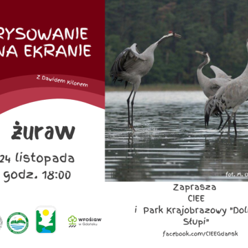 Rysowanie na ekranie - żuraw Grafika Rysowanie na ekranie - żuraw