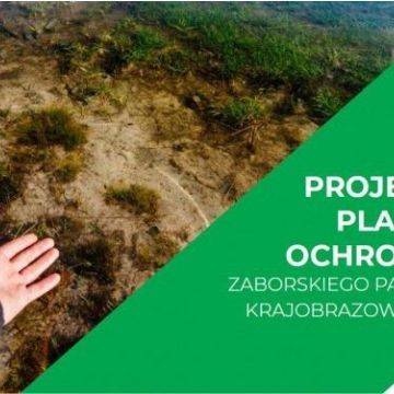 Opracowanie projektu planu ochrony Zaborskiego Parku Krajobrazowego Grafika Opracowanie projektu planu ochrony Zaborskiego Parku Krajobrazowego