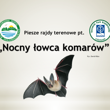 Grafika Piesze rajdy terenowe pt. „Nocny łowca komarów”