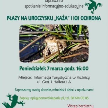 Grafika Płazy na Uroczysku „Każa” i ich ochrona