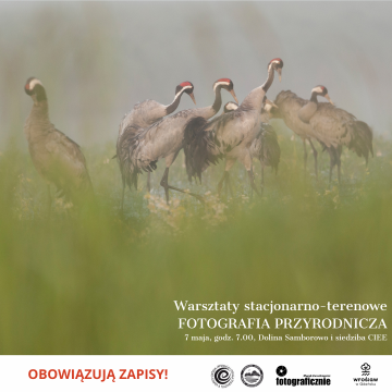 Grafika Fotografia przyrodnicza - warsztaty terenowo-stacjonarne