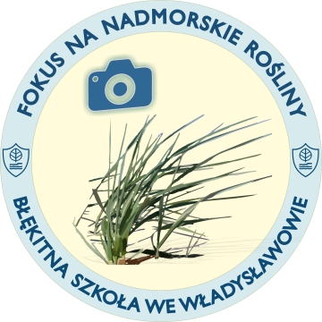 "Fokus na nadmorskie rośliny" - konkurs fotograficzny Grafika "Fokus na nadmorskie rośliny" - konkurs fotograficzny