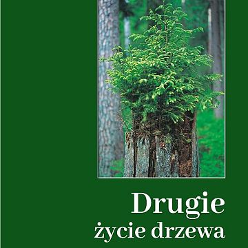 Grafika Drugie życie drzewa po raz drugi