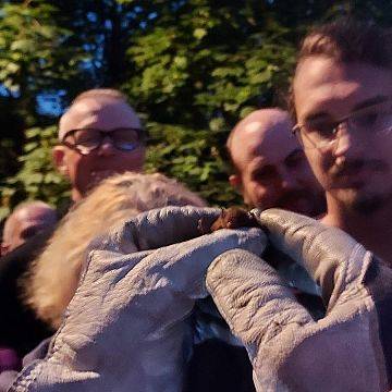 Grafika Słupska Noc Nietoperzowa w PK „Dolina Słupi” z karlikami w roli głównej