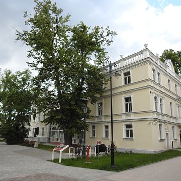 Grafika Drzewa. Ich tajemnice i problemy życia w mieście. Park zdrojowy w Gdańsku - Brzeźnie