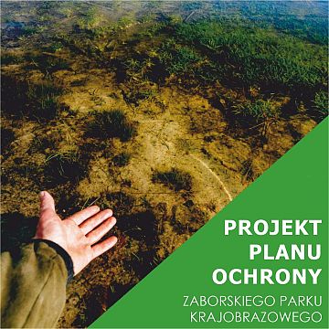 Informacja o publicznym wyłożeniu projektu Planu ochrony dla Zaborskiego Parku Krajobrazowego Grafika Informacja o publicznym wyłożeniu projektu Planu ochrony dla Zaborskiego Parku Krajobrazowego