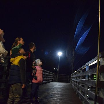Grafika Międzynarodowa Noc Nietoperzy w Kaszubskim Parku Krajobrazowym