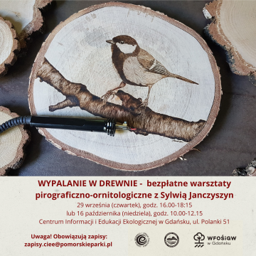 Wypalanie w drewnie - bezpłatne warsztaty pirograficzno-ornitologiczne Grafika Wypalanie w drewnie - bezpłatne warsztaty pirograficzno-ornitologiczne