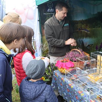 Grafika Wdzydzki Park Krajobrazowy na XXIV Kaszubskiej Jesieni Rolniczej w Lubaniu