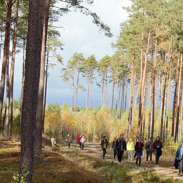 Dzień Krajobrazu - Poznaję i doświadczam Wdzydzki Park Krajobrazowy Grafika Dzień Krajobrazu - Poznaję i doświadczam Wdzydzki Park Krajobrazowy