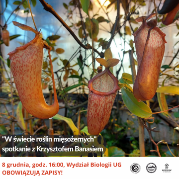 W świecie roślin mięsożernych Grafika W świecie roślin mięsożernych