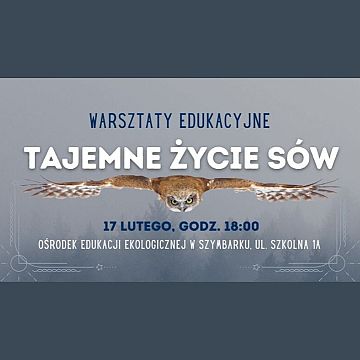 Grafika Tajemne życie sów