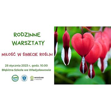 Rodzinne Warsztaty Grafika Rodzinne Warsztaty