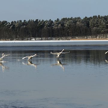 Grafika Zapraszamy na spędzenie ferii zimowych na pieszych i rowerowych ścieżkach na terenie WPK