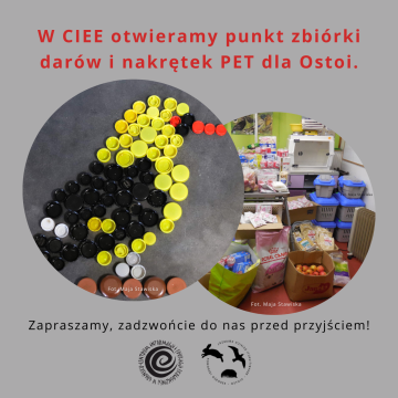 Grafika W CIEE otwieramy punkt zbiórki darów i nakrętek PET dla Ostoi