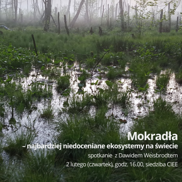 Mokradła – najbardziej niedoceniane ekosystemy na świecie Grafika Mokradła – najbardziej niedoceniane ekosystemy na świecie