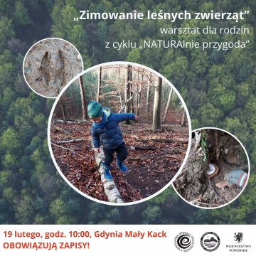 Grafika Zimowanie leśnych zwierząt - warsztat terenowy dla rodzin